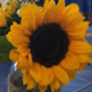 Meet your Posher, Jill